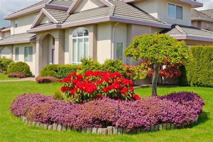 How can I redo my front yard for cheap?