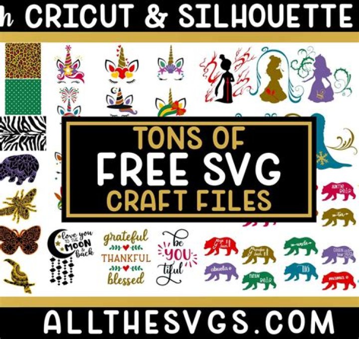 How do I create a SVG map?