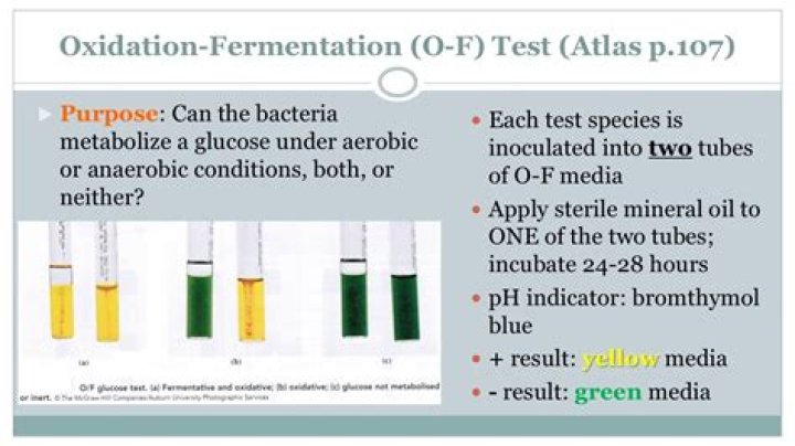 How do you test for oxidation fermentation?