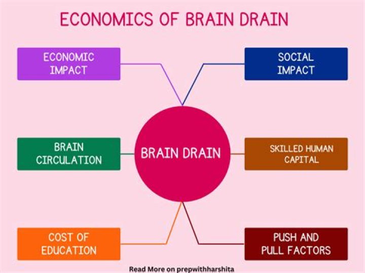 How does brain drain affect developing countries?