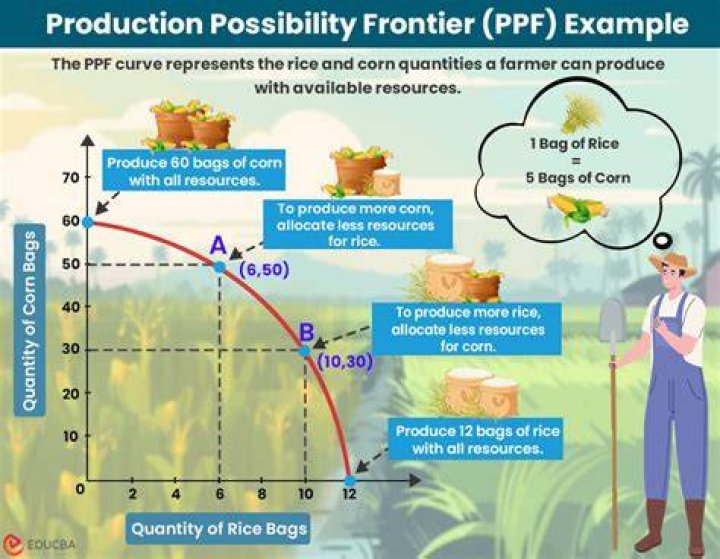 How is the concept of efficiency related to the production possibility frontier?