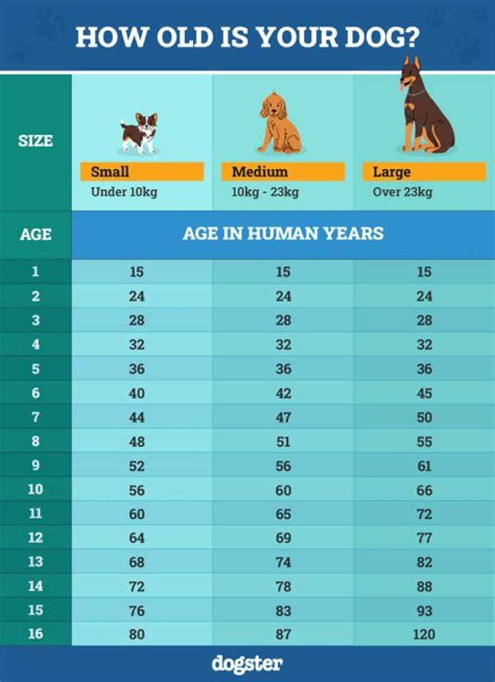 How old is reschs?