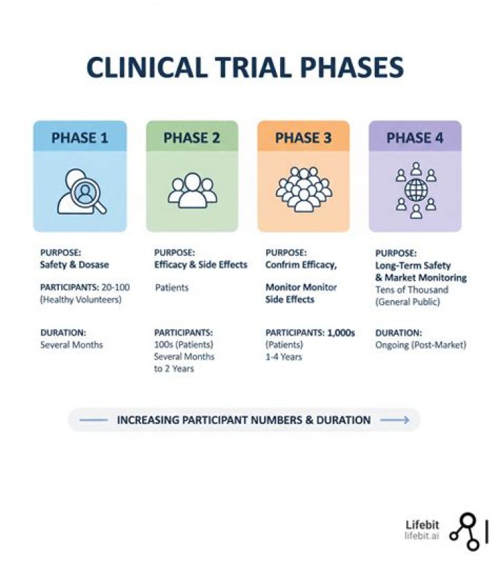 What are the 4 phases of ARDS?