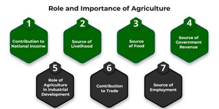 What are the contributions of agriculture?