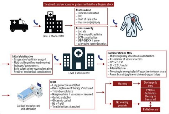 What are the initial interventions needed for a patient in cardiogenic shock?