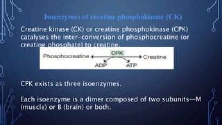 What are the isoenzyme of creatine kinase?