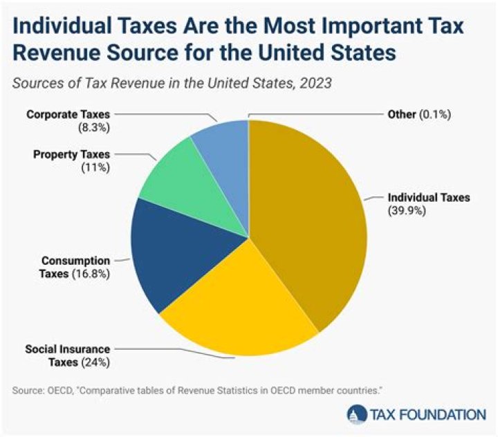 What are the major sources of government revenue?