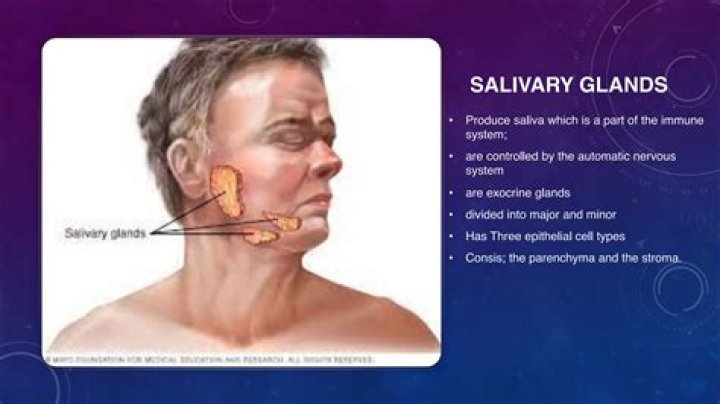 What causes the salivary gland to swell?