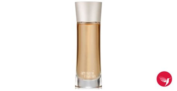 What did Armani Mania smell like?