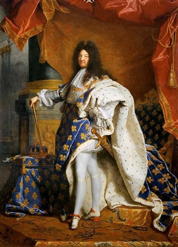 What did King Louis XIV do for France?