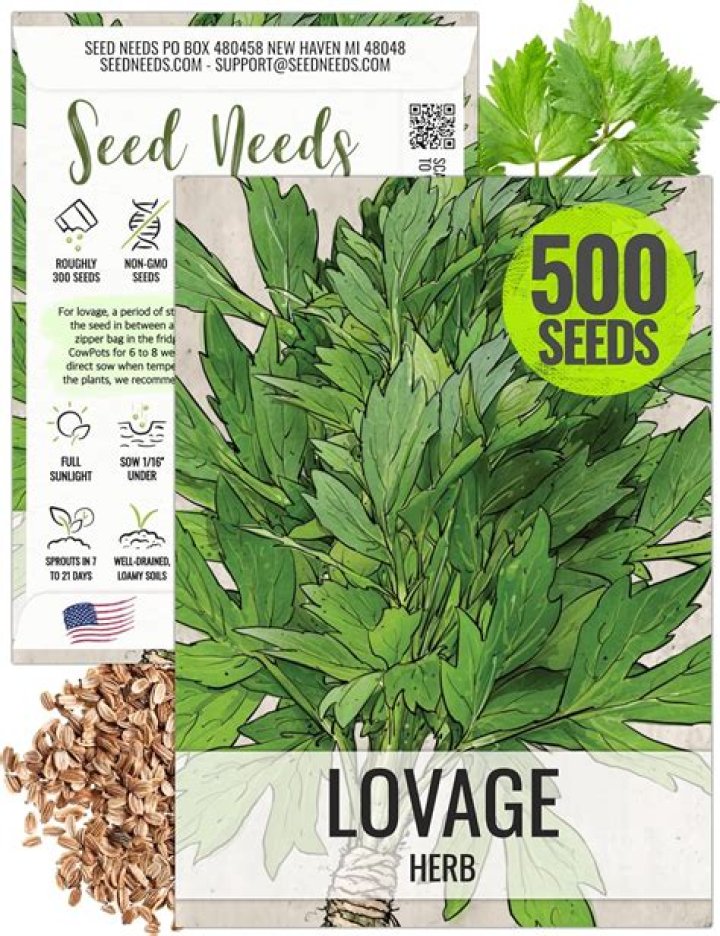 What do I do with lovage seeds?