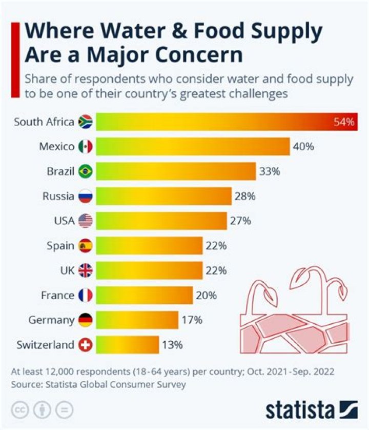What does it mean to be in short supply?
