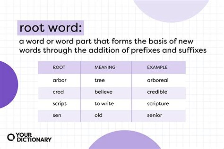 What does root word con mean?