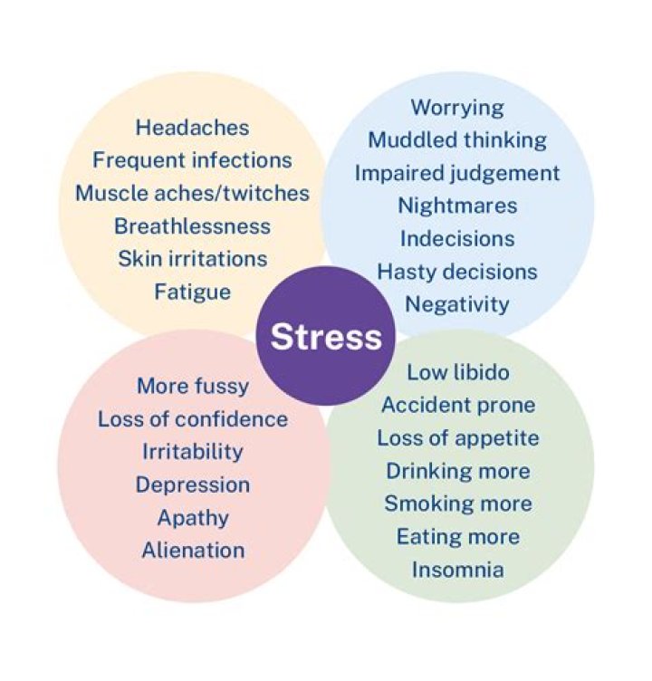 What happens when your liver is stressed?