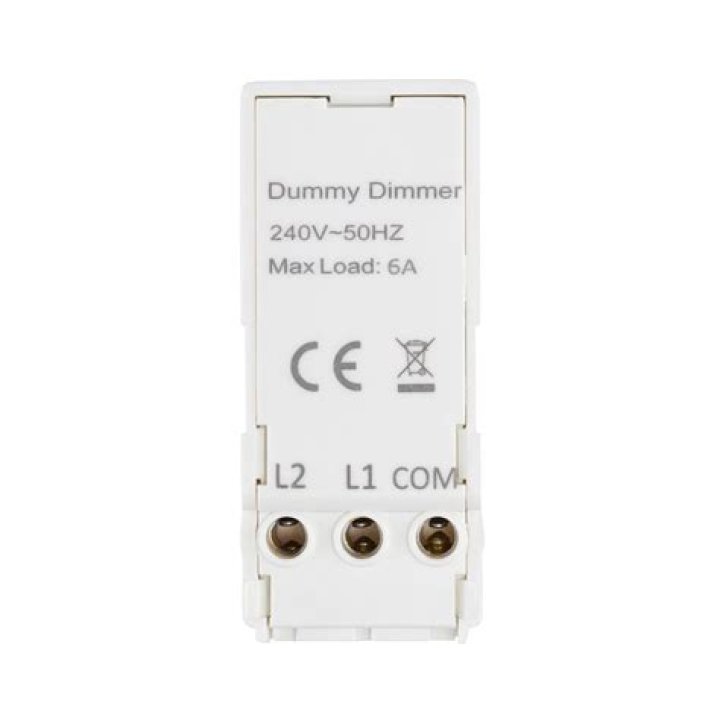 What is a dummy dimmer module?