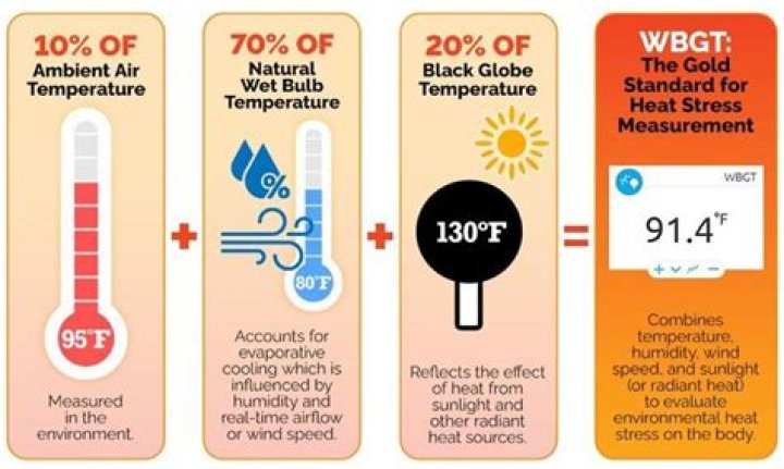 What is balmy temperature?