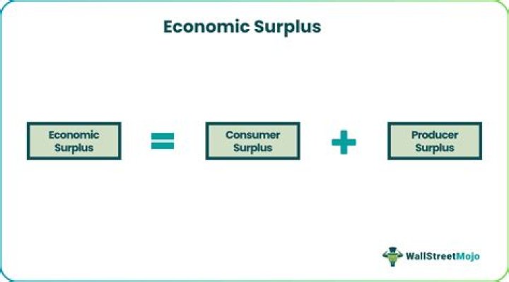 What is economic surplus explain its significance?