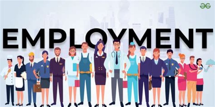 What is full employment policy?