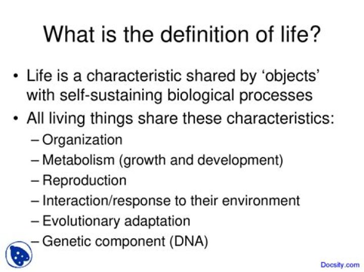 What is life definition quote?