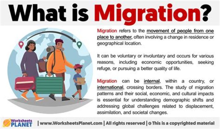 What is meant by an economic migrant?