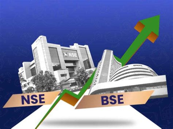 What is NSE and its functions?