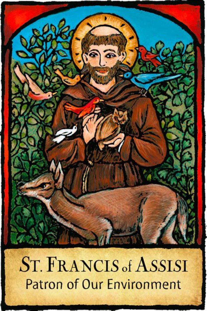 What is St Francis of Assisi patron saint of?