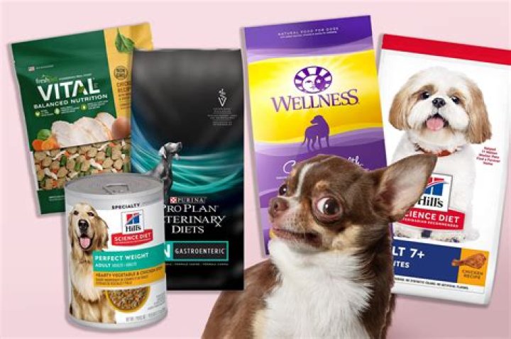 What is the healthiest dog food recommended by vets?