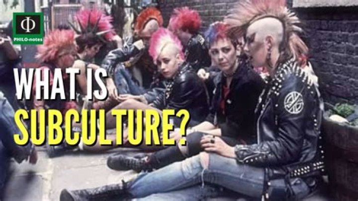 What is the legal subculture?