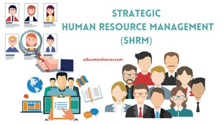 What is the relationship between economics and human resource management?