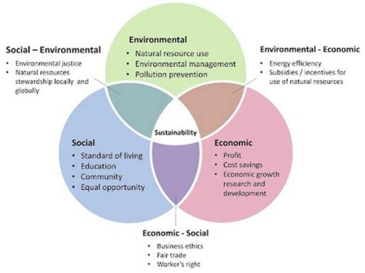 What is the role of environmental economics?
