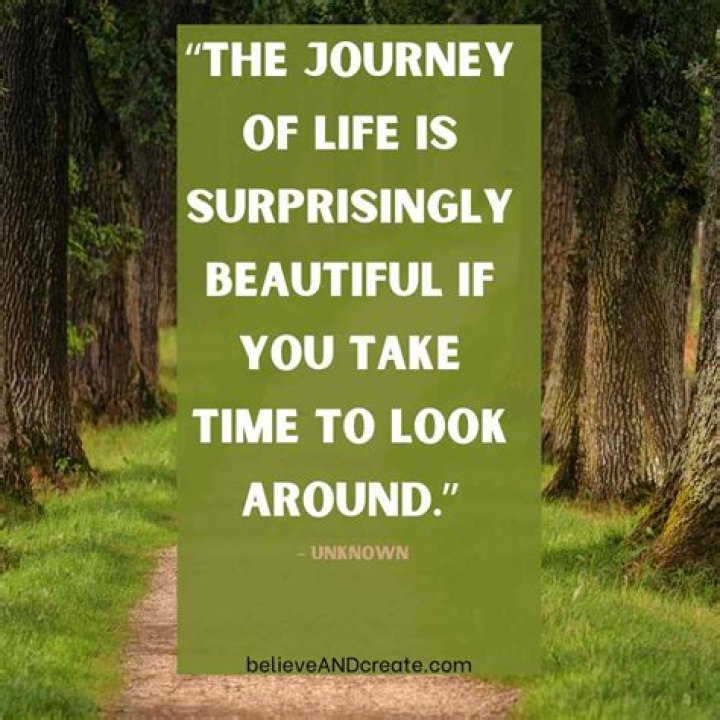 What is the saying life is a journey?