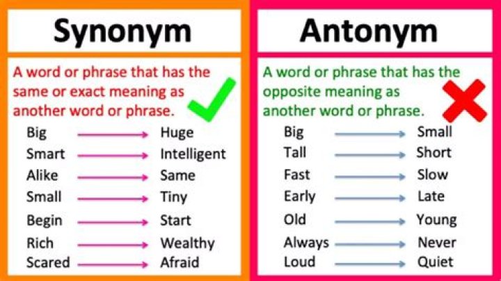 What is the synonym of speculative?