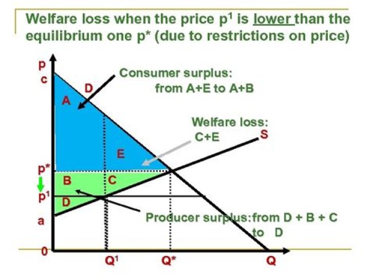 What is welfare loss?