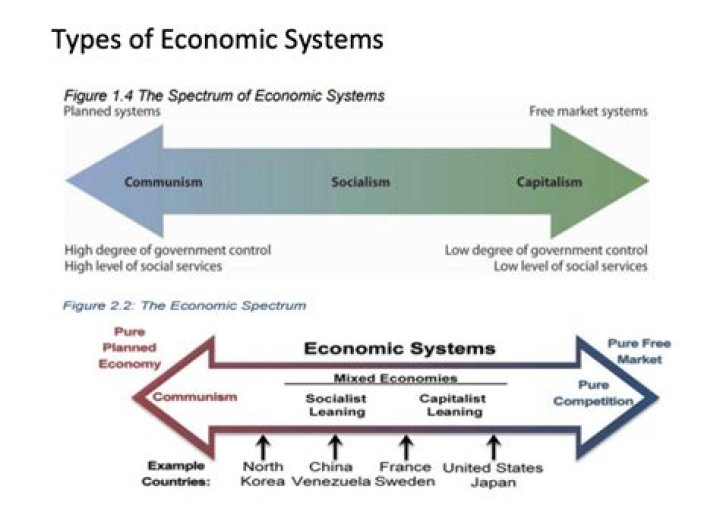 What type of economic system was used in Colonial America?