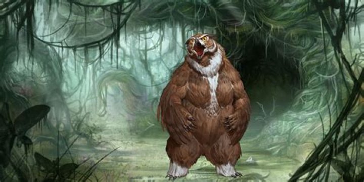 Where are owlbears found?