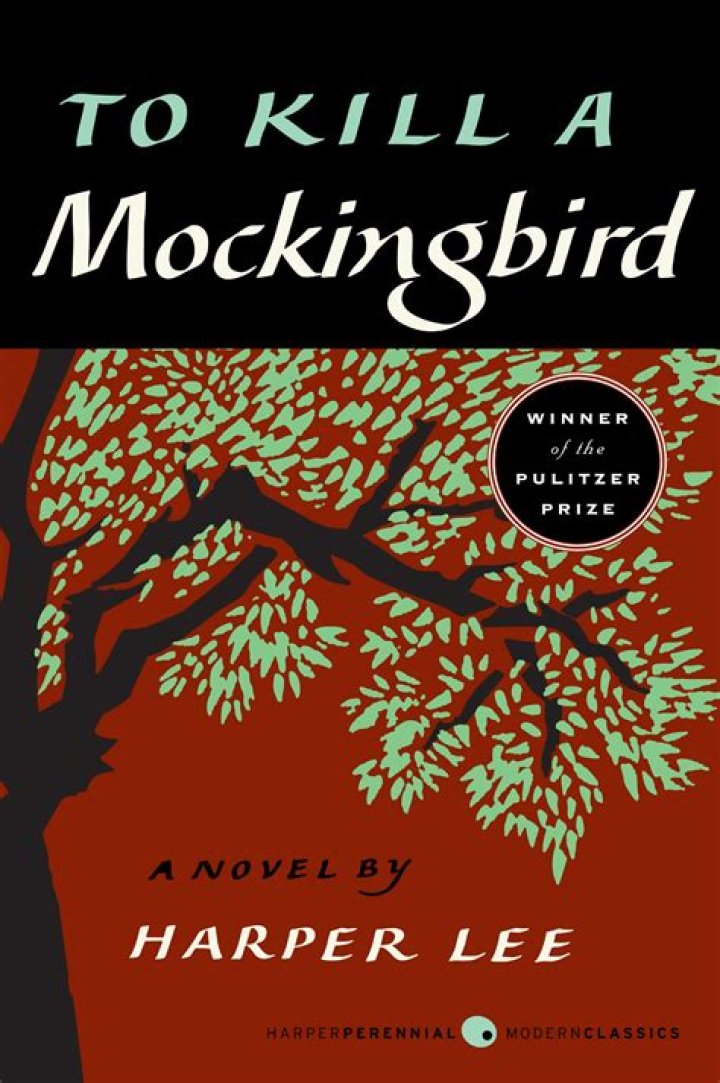 Who are the characters in Chapter 1 of To Kill a Mockingbird?