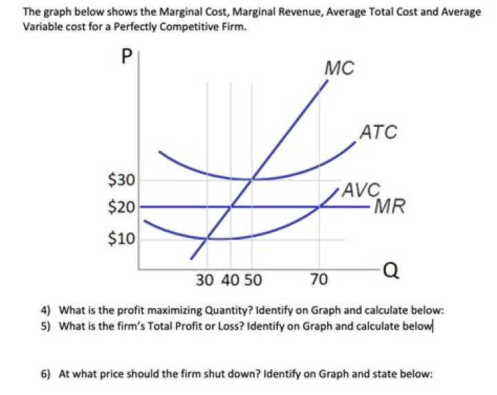 Why are average revenue and marginal revenue equal under perfect competition?