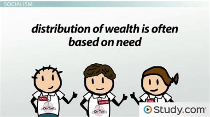 Why are socialist systems described as mixed economies?