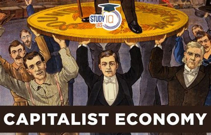 Why does capitalism create wealth?